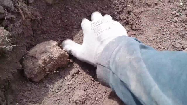 Горный супер-коп. Дары Екатерины, серебряное монисто и много природы... смотреть онлайн