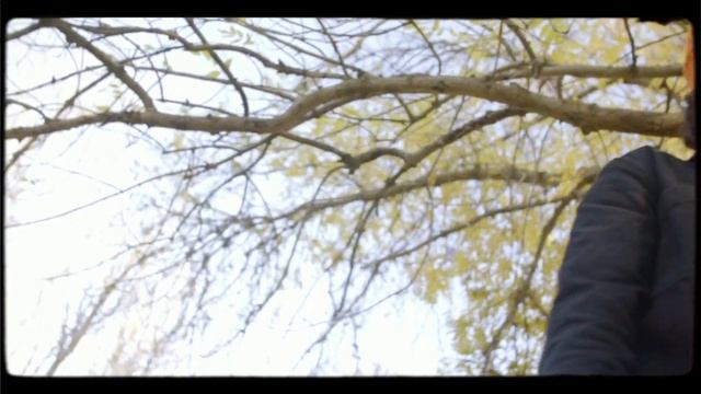 Леонид Нигматулин делится положительным отзывом об очистителе воздуха Therapy Air Ion jn Zepter смотреть онлайн