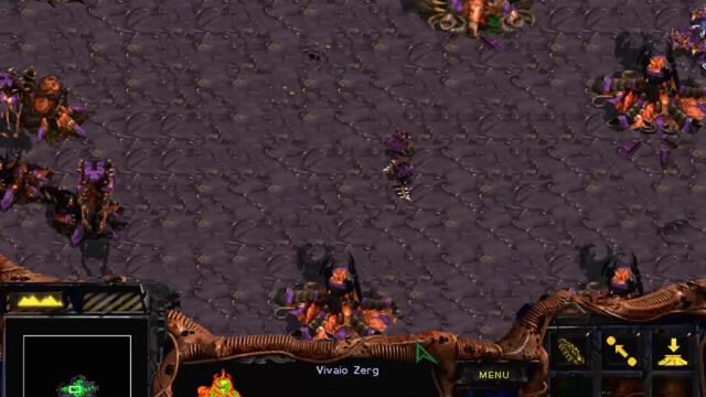 Starcraft Brood War Gameplay ITA FINE- Missione 10 Zerg - Omega смотреть онлайн