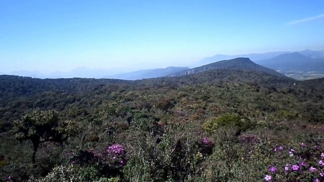 Horton plains travel in srilanka. смотреть онлайн