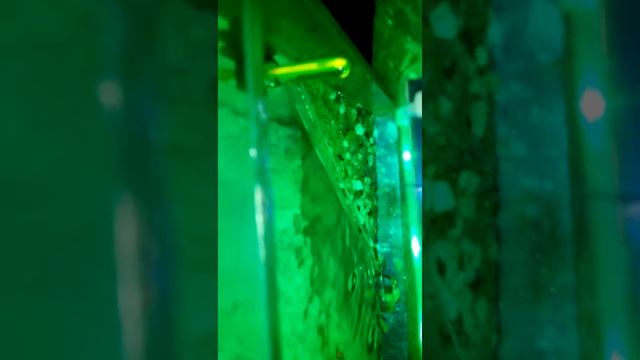 My Aquarium Box 2 Mr.Sunny смотреть онлайн