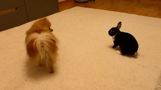 Маленький,да удаленький😉 смотреть онлайн