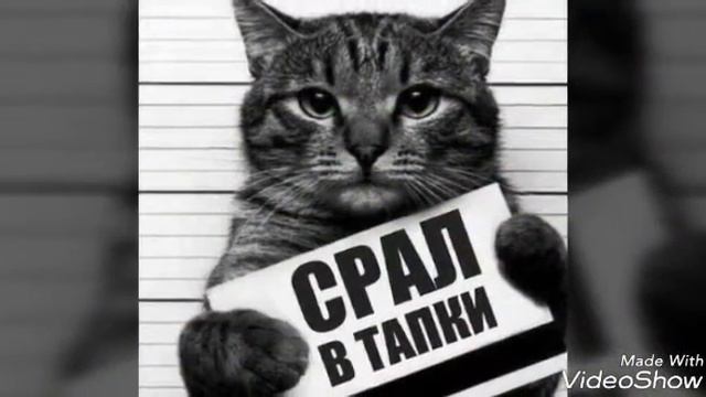 песня опять я хз как называется смотреть онлайн