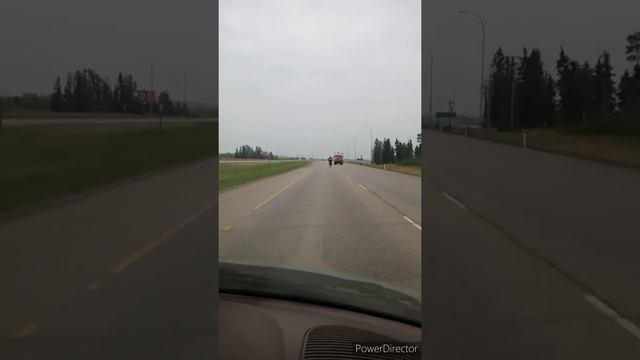 wheelies and flip-flops смотреть онлайн