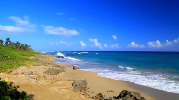 Волшебная музыка magical music