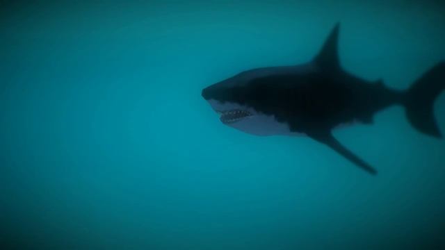Megalodon shark 3D смотреть онлайн