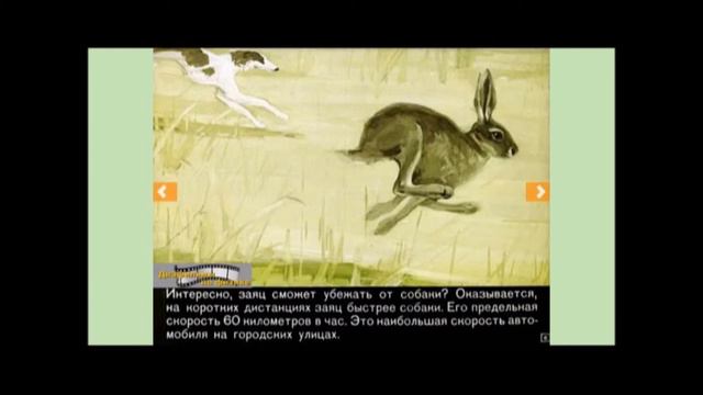 Физика для малышей.Кто быстрее всех бегает смотреть онлайн