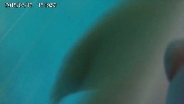 харьков аквапарк Джунгли с малышом Лисёнком. 2018 смотреть онлайн