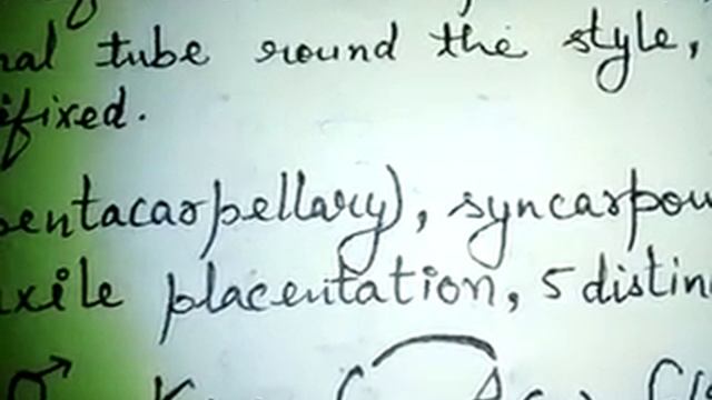 Malvaceae ( गुङहल )