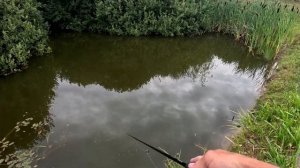 Как ловить щуку  на Поппер! 3 Попера на щуку и окуня с Алиэкспрес с Хорошей работой.