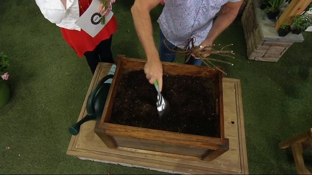 Cottage Farms 2-pc Multicolor Rio Samba Rose on QVC смотреть онлайн