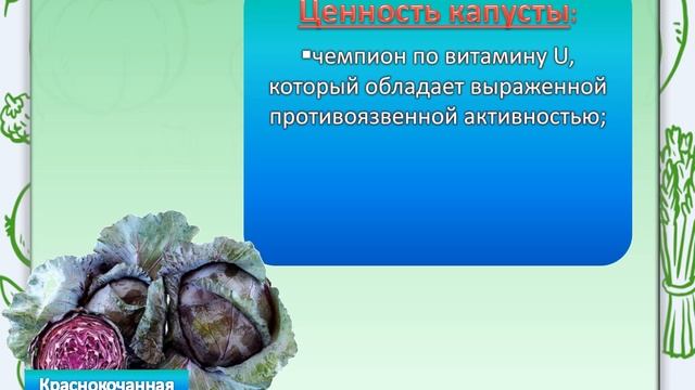 О пользе овощей Королева капуста! смотреть онлайн