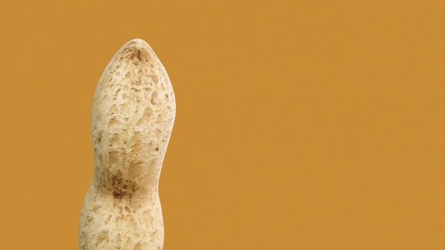 Ketto Pasta в NL смотреть онлайн