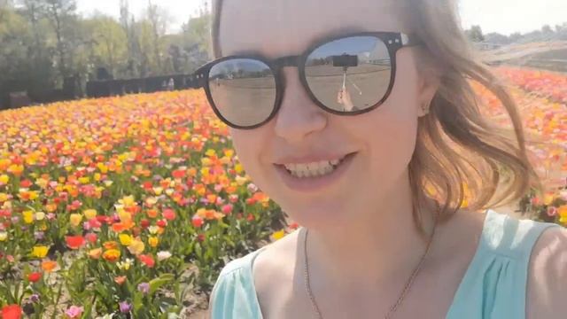 Бельгия. Поездка в Голландию на тюльпановые поля. Часть 1. смотреть онлайн