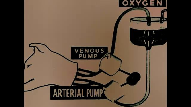 outside are the dogs смотреть онлайн