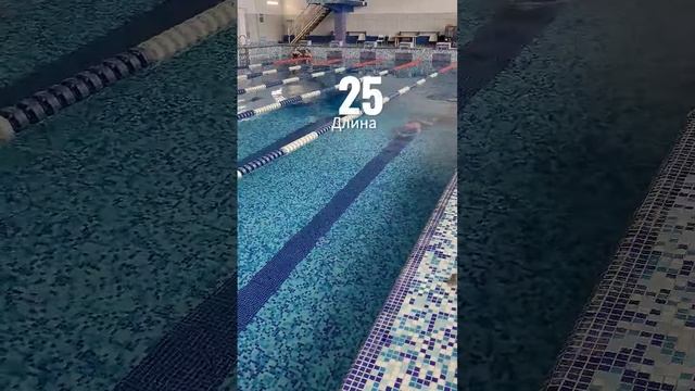 Тебе страшно плавать на такой глубине？Тебе страшно плавать на такой глубине? смотреть онлайн