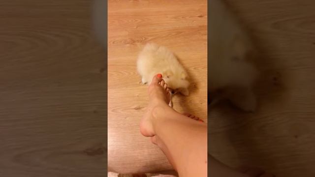 Оренбургский педикюр ;-) смотреть онлайн