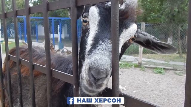 Гидропарк. Херсон. 2021 смотреть онлайн