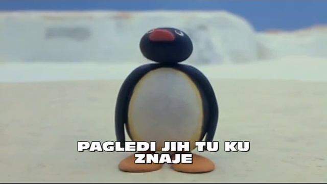 Pingu Da štere