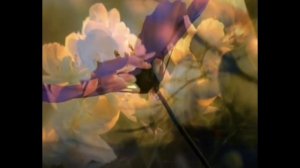 «Ночные цветы». Старинный русский романс.