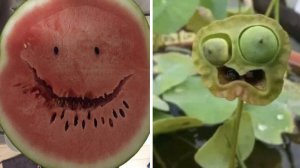 За тобой следят (ч.2)