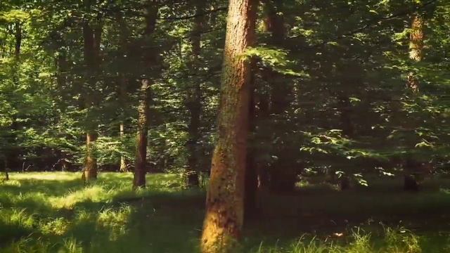 Релакс музыка для снятия стресса. Музыка для восстановления. смотреть онлайн