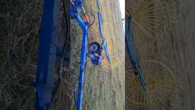 Обзор Грабли Беляевские. смотреть онлайн