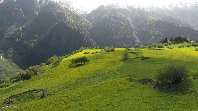 Spring - Аwakening of Nature - 4K | Music Video смотреть онлайн