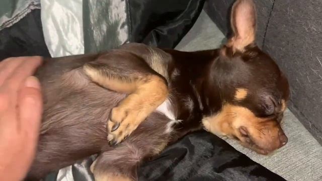 Всем спокойной носи и прекрасных снов.