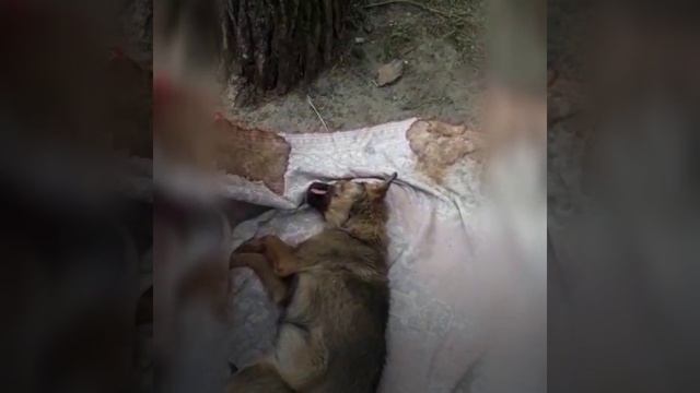 Жестокий Город Курск смотреть онлайн