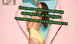 Сколько времени пища находится в желудке человека и переваривается