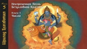 5-13. Беседа царя с юродивым Часть 2. Шримад Бхагаватам