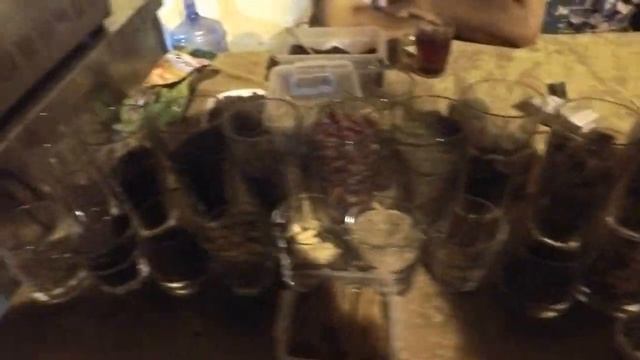 Самый душевный чайханщик в Баку смотреть онлайн