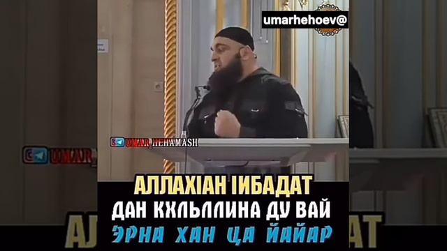 Умар Хехоев - Эрна хан ца йайъар! смотреть онлайн