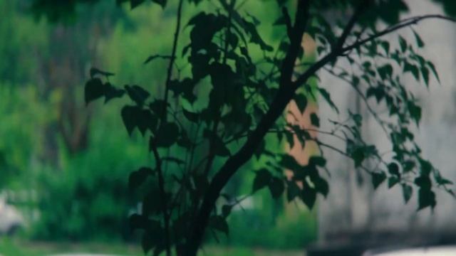 Canon 650D (Magic Lantern "C-LOG") cinematic video test смотреть онлайн