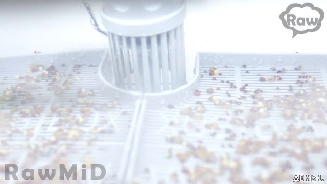 Микроферма Dream Sprouter смотреть онлайн