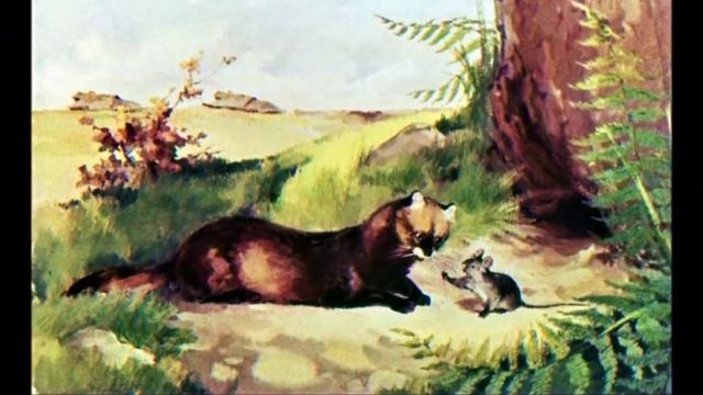 СКАЗКА ОБ УМНОМ МЫШОНКЕ С.Я. Маршак смотреть онлайн