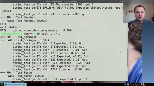 Golang Custom Json Marshal, Test Driven Fun смотреть онлайн