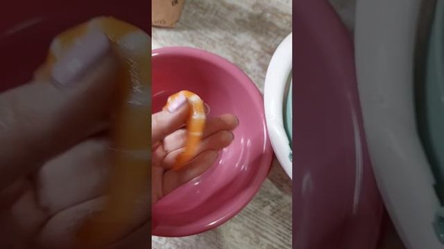 Цирковые Шоу с Трюками и Фокусами