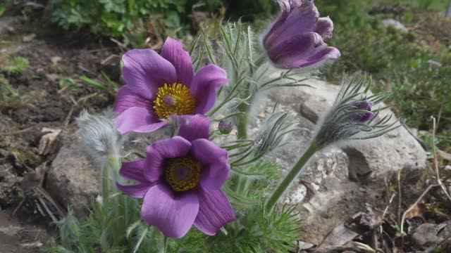 Как прекрасен этот мир. смотреть онлайн