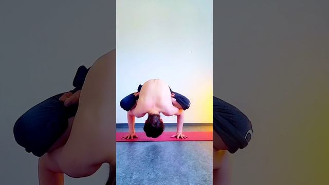 Хатха-йога .Куккутасана виньяса смотреть онлайн