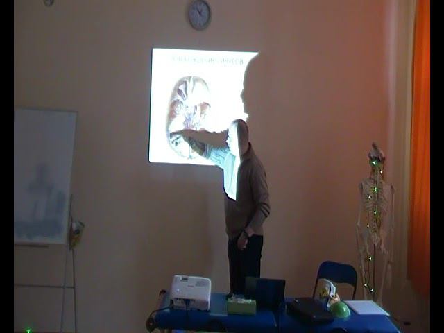 Семинар остеопатия МОЗГОВОЙ ЧЕРЕП МЧ_11 смотреть онлайн