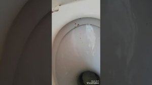 Обзор на МУЖСКОЙ?? туалет в школе номер 1