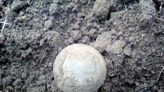 Пуговичный день смотреть онлайн