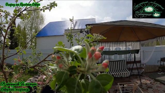 Огород на Крайнем Севере. 21 мая 2022 года. Обзор сада. смотреть онлайн