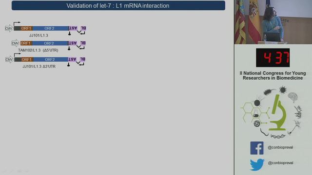 CBPV2017 Pablo Tristán Ramos смотреть онлайн