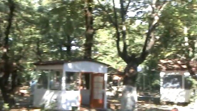 ресторан в лесу недалеко от Массалов