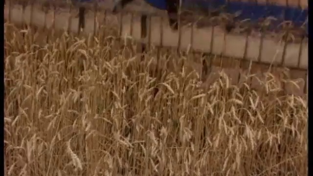 «Земля» — Момент Истины от 11.01.2016 смотреть онлайн