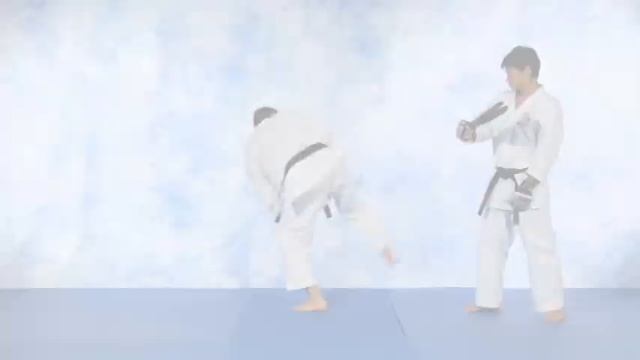 Machida Karate part 1 смотреть онлайн