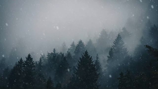 Snowy Forest, Live Wallpaper, 1080p 60fps смотреть онлайн